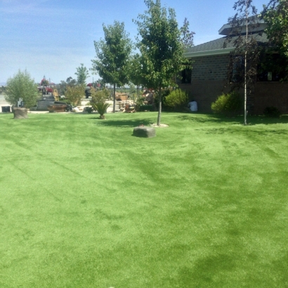 Fake Grass Carpet Alpine, California Pet Paradise, Recreational Areas