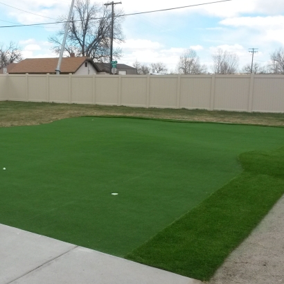 Fake Grass Carpet Bonsall, California Outdoor Putting Green, Backyard Landscaping Ideas