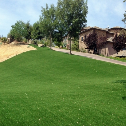 Fake Grass Carpet Casa de Oro-Mount Helix, California Lawns, Landscaping Ideas For Front Yard