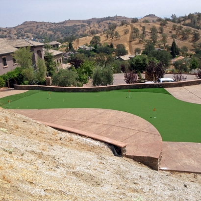 Fake Grass Carpet Chula Vista, California Garden Ideas, Backyard Landscaping