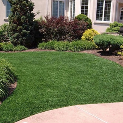 Fake Grass Carpet El Cajon, California Landscaping, Front Yard Ideas