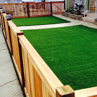 Fake Grass Carpet Fallbrook, California Landscaping, Front Yard Landscape Ideas