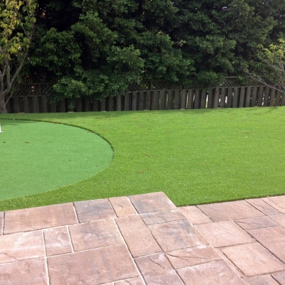 Fake Grass Carpet Harbison Canyon, California Design Ideas, Backyard Garden Ideas