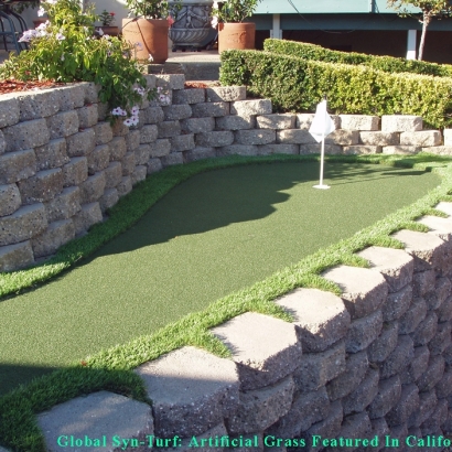 Fake Grass Carpet La Presa, California Indoor Putting Green, Backyard Landscaping
