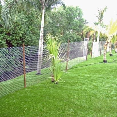Fake Grass Carpet Lake San Marcos, California Home And Garden, Backyard Landscaping Ideas