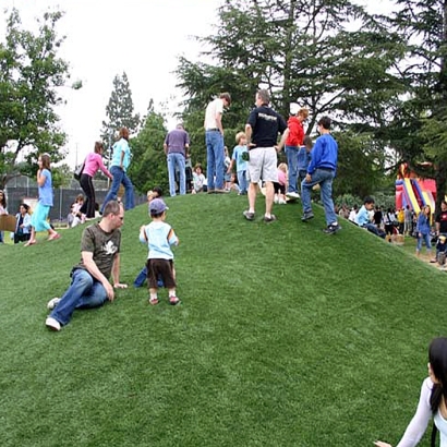 Fake Grass Carpet National City, California Playground, Recreational Areas