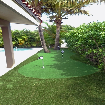 Fake Grass Carpet San Pasqual, California Indoor Putting Green, Backyard Makeover
