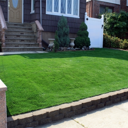 Fake Grass Carpet Solana Beach, California Landscape Design, Front Yard Design
