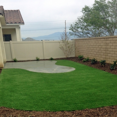 Fake Grass Carpet Spring Valley, California Landscape Design, Backyard