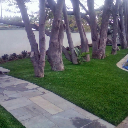 Fake Grass Casa de Oro-Mount Helix, California Backyard Playground, Front Yard Landscaping Ideas