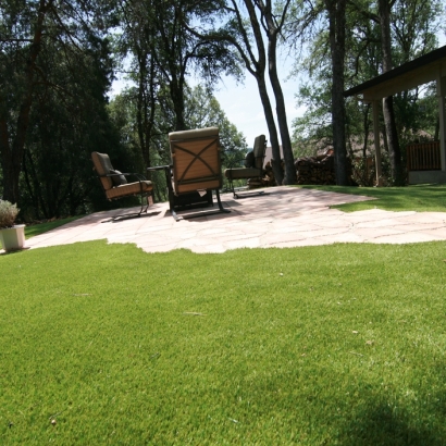 Fake Grass Pine Valley, California Paver Patio, Backyard Landscape Ideas