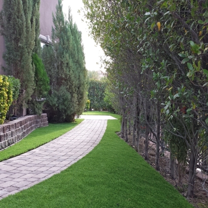Fake Grass Rainbow, California Roof Top, Front Yard