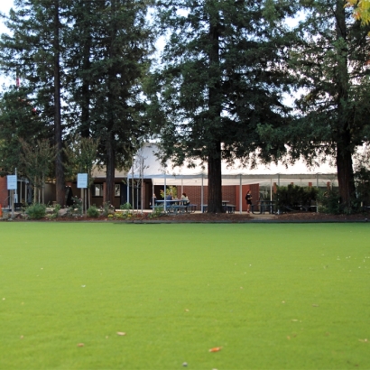 Fake Grass Rancho Santa Fe, California Playground Flooring, Recreational Areas