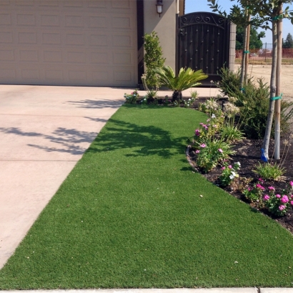 Fake Grass Rancho Santa Fe, California Landscaping, Front Yard