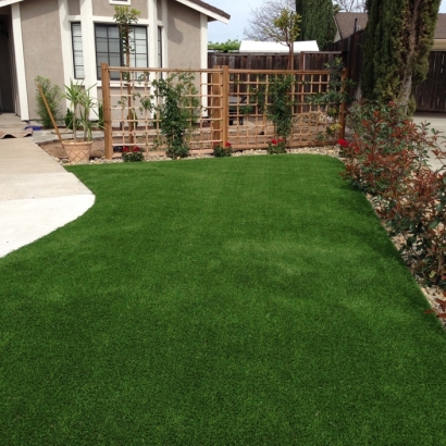Fake Grass San Marcos, California Lawns, Front Yard Ideas
