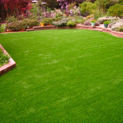 Fake Grass Spring Valley, California Paver Patio, Backyard Designs