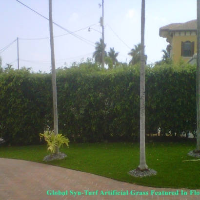 Fake Lawn El Cajon, California Rooftop, Front Yard Landscaping Ideas