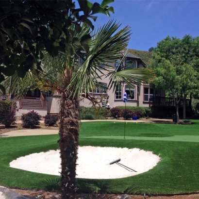 Fake Lawn Imperial Beach, California Roof Top, Front Yard Landscaping Ideas