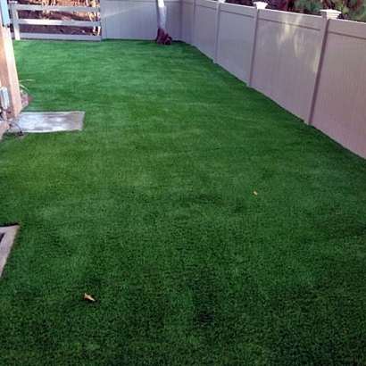 Fake Lawn National City, California Dog Grass, Backyard Landscape Ideas