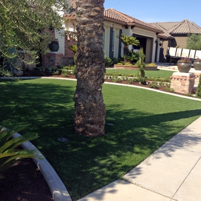 Fake Lawn Santee, California Rooftop, Front Yard Ideas