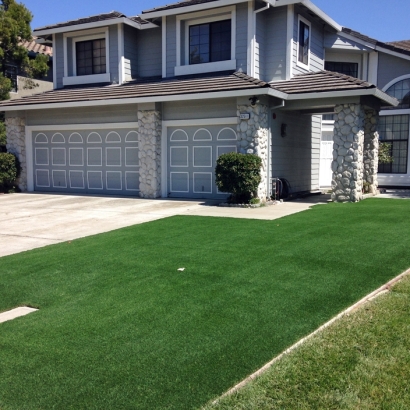 Fake Turf Boulevard, California City Landscape, Small Front Yard Landscaping