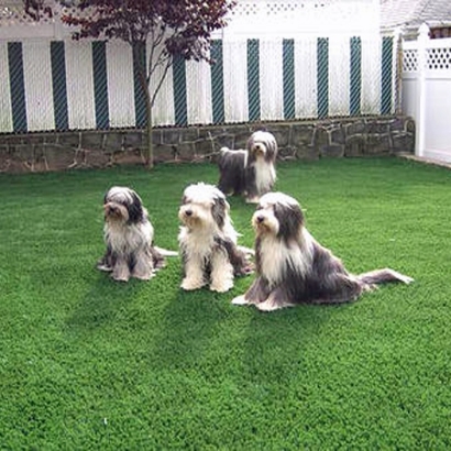 Fake Turf Escondido, California Landscaping, Backyard Garden Ideas