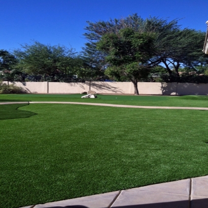 Fake Turf Escondido, California Paver Patio, Landscaping Ideas For Front Yard