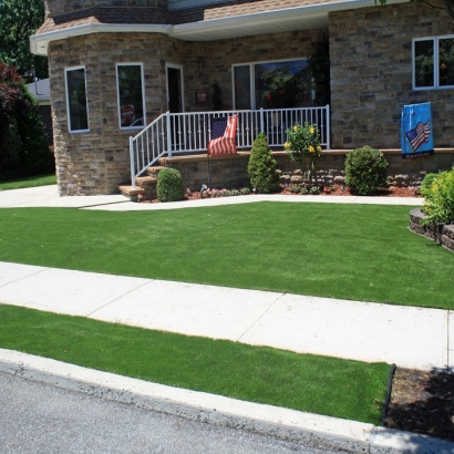 Fake Turf Fallbrook, California Roof Top, Front Yard Landscape Ideas