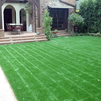 Fake Turf Julian, California Garden Ideas, Front Yard Landscape Ideas