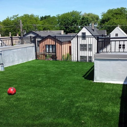 Fake Turf La Jolla, California Pet Grass, Roof Top