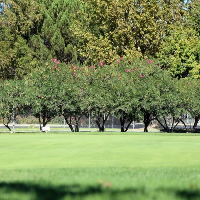 Fake Turf Lake San Marcos, California Golf Green