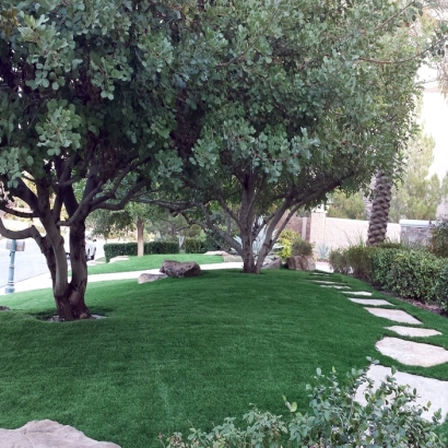 Faux Grass Bonsall, California Home And Garden, Small Front Yard Landscaping