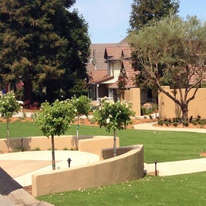 Faux Grass Coronado, California Garden Ideas, Front Yard Design