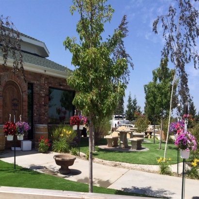 Faux Grass Descanso, California City Landscape, Commercial Landscape