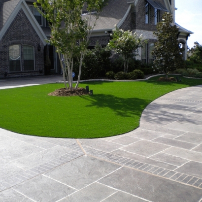 Faux Grass Descanso, California Landscape Design, Front Yard Landscaping