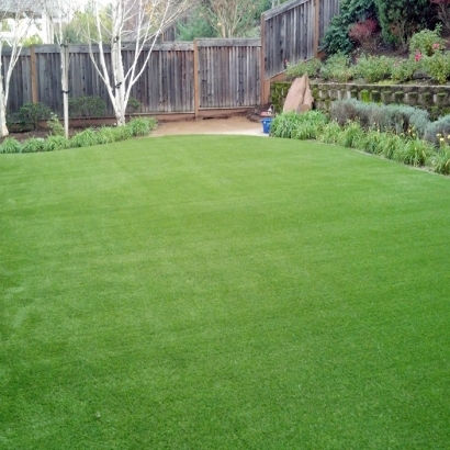 Faux Grass National City, California Lawn And Garden, Backyard Designs