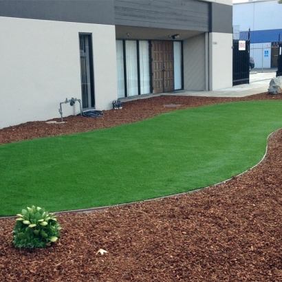Faux Grass Poway, California Home And Garden, Commercial Landscape