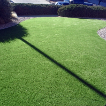 Faux Grass Spring Valley, California Garden Ideas, Front Yard Landscaping Ideas
