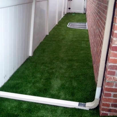 Faux Grass Valley Center, California Design Ideas, Backyard Landscaping Ideas
