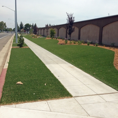 Grass Carpet Alpine, California Lawn And Garden, Commercial Landscape