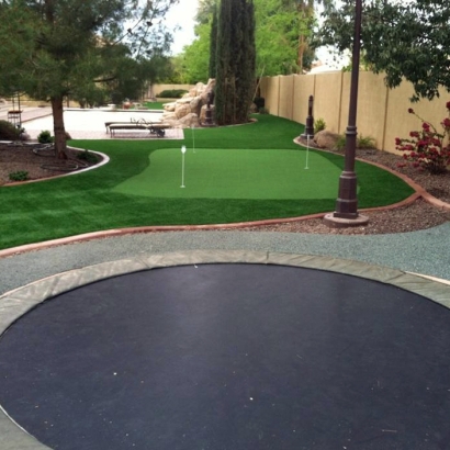 Grass Carpet Bostonia, California Putting Green Turf, Backyard Makeover
