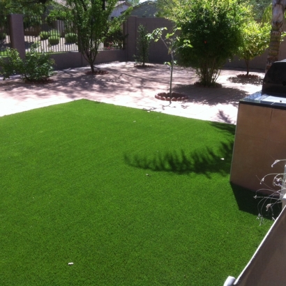 Grass Carpet Campo, California Pet Turf, Small Backyard Ideas