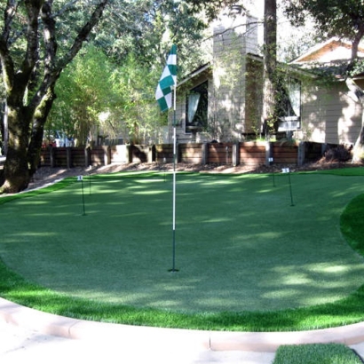 Grass Carpet Escondido, California Office Putting Green, Backyard Landscape Ideas