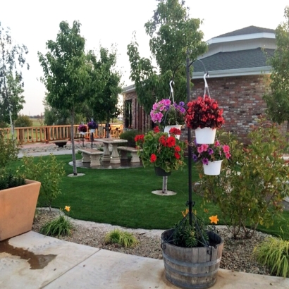 Grass Carpet Harbison Canyon, California Landscape Ideas, Commercial Landscape