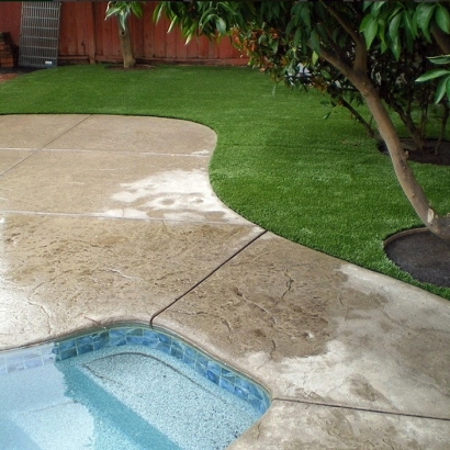 Grass Carpet Imperial Beach, California Landscape Rock, Backyard Pool