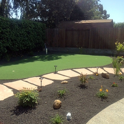 Grass Carpet Jamul, California Putting Green Carpet, Backyard Designs