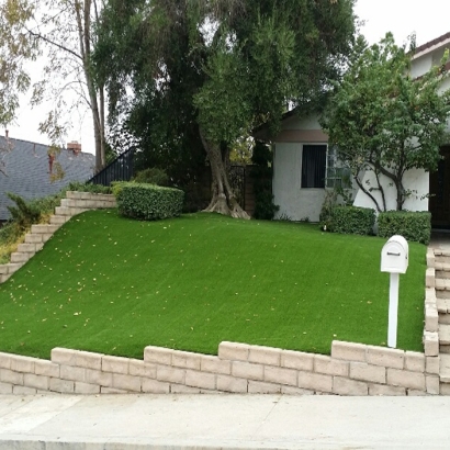 Grass Carpet La Jolla, California Garden Ideas, Front Yard Landscaping Ideas