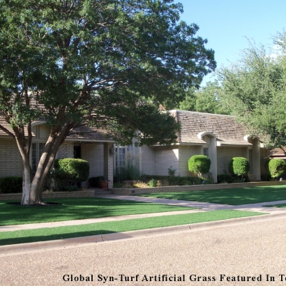 Grass Carpet Lakeside, California Rooftop, Front Yard Landscape Ideas