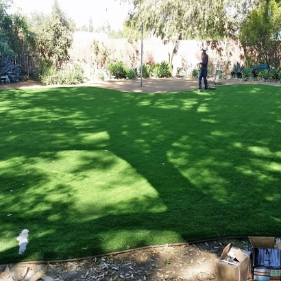 Grass Carpet Potrero, California Backyard Deck Ideas, Backyard Landscaping Ideas