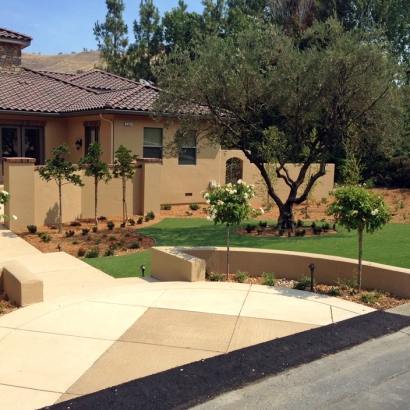 Grass Carpet Ramona, California Rooftop, Front Yard